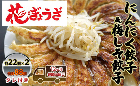 にんにく餃子(22個入り×2袋)と梅しそ餃子(22個入り×2袋)　12ヶ月連続お届け 惣菜 冷凍餃子 中華 夕飯 夜ごはん おかず 食べ比べ おつまみ ビールのおつまみ 
