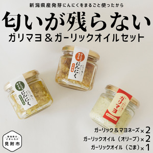 ガリマヨ＆食べるにんにくオイル 食べ比べセット ガリマヨ 2個 食べるにんにくオイル（オリーブオイル） 2個 食べるにんにくオイル（ごま油） 1個 kimataファーム ガーリックオイル にんにく スプラウト 臭わない 唐揚げに合う 新潟県 見附市