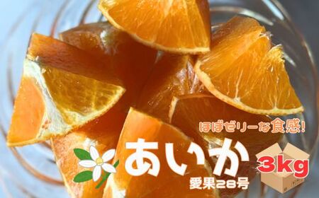 【2026年先行予約】愛果28号 3kg ご家庭用 みかん 愛媛 紅まどんなと同一品種 【2026年12月から順次発送】 先行予約 数量限定 愛媛県産 人気 柑橘 伊予市｜B246
