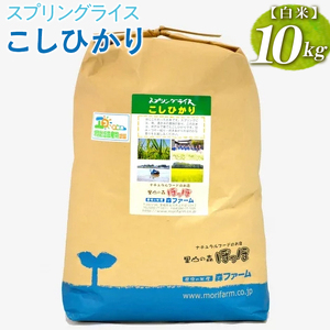 スプリングライス こしひかり (白米)10kg コシヒカリ ｜米 _BI26
