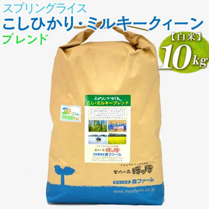 スプリングライス こしひかり・ミルキークィーン ブレンド (白米)10kg コシヒカリ ｜米 _BI28