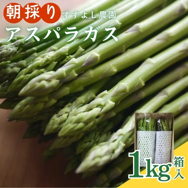 No.0793 【農家直送】鮮度抜群！ アスパラガス 1kg箱入【2026年発送】