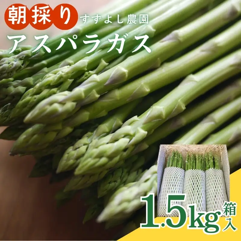 No.1059 【農家直送】鮮度抜群！ アスパラガス 1.5kg箱入【2026年発送】