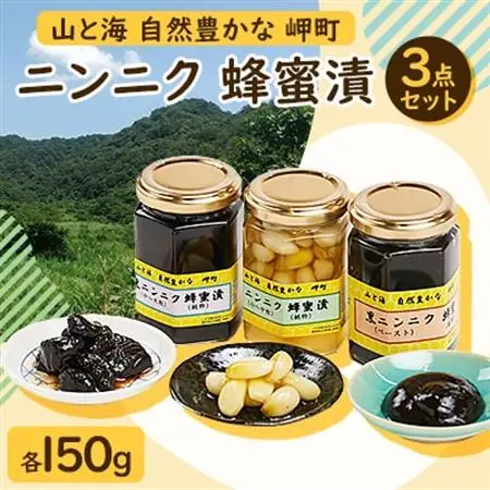 山と海 自然豊かな 岬町 3点セット(1、2、4) にんにく加工食品_惣菜・加工品   _【1256187】