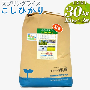 スプリングライス こしひかり (玄米)30kg(15kg×2個) ※着日指定不可 | 米 こめ コメ ご飯 玄米 単一米 国産 茨城県産 _BI68