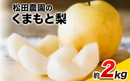 【先行予約】秋 旬 梨 期間限定 【日付指定不可】梨 『松田農園』の くまもと梨 たっぷり 約2kg 5-7玉前後《7月下旬-9月末頃出荷》  予約 受付中 熊本県玉名郡玉東町 松田農園 なし 果物 スイーツ フルーツ デザート スムージー ｜ブランド梨 人気 梨 特産品 梨 熊本県 梨 玉東町梨 大人気返礼品