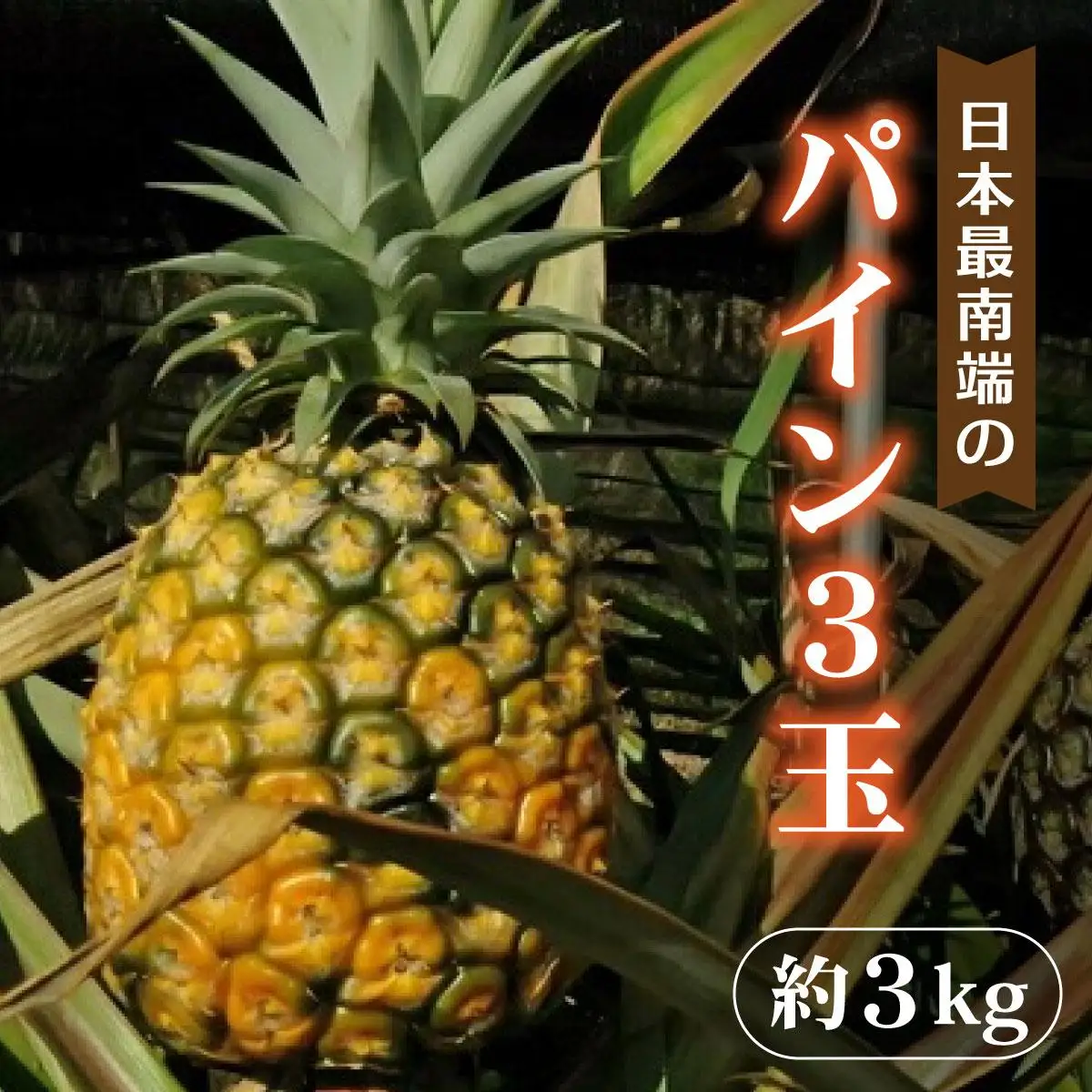 パイン 3玉セット 約3kg