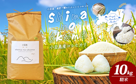 【 小豆島 】小豆島 滝宮で獲れたふっくらつやつや 小豆島産 コシヒカリ 10kg こしひかり お米 米 白米 精米 もっちり 甘み 香川 香川県 土庄 土庄町