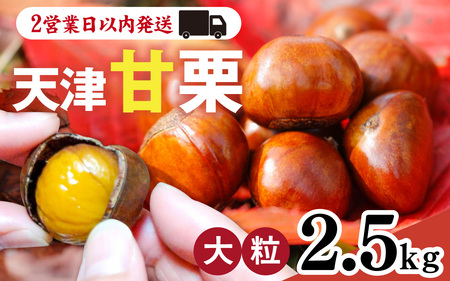  天津甘栗 2.5kg / 甘栗