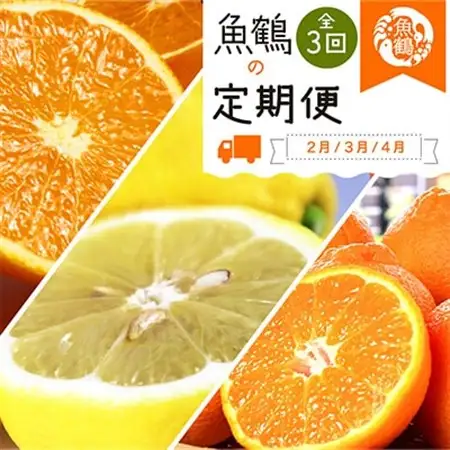 【発送月固定定期便】紀州和歌山産旬の柑橘セット(不知火・レモン・清見)全3回【4011935】