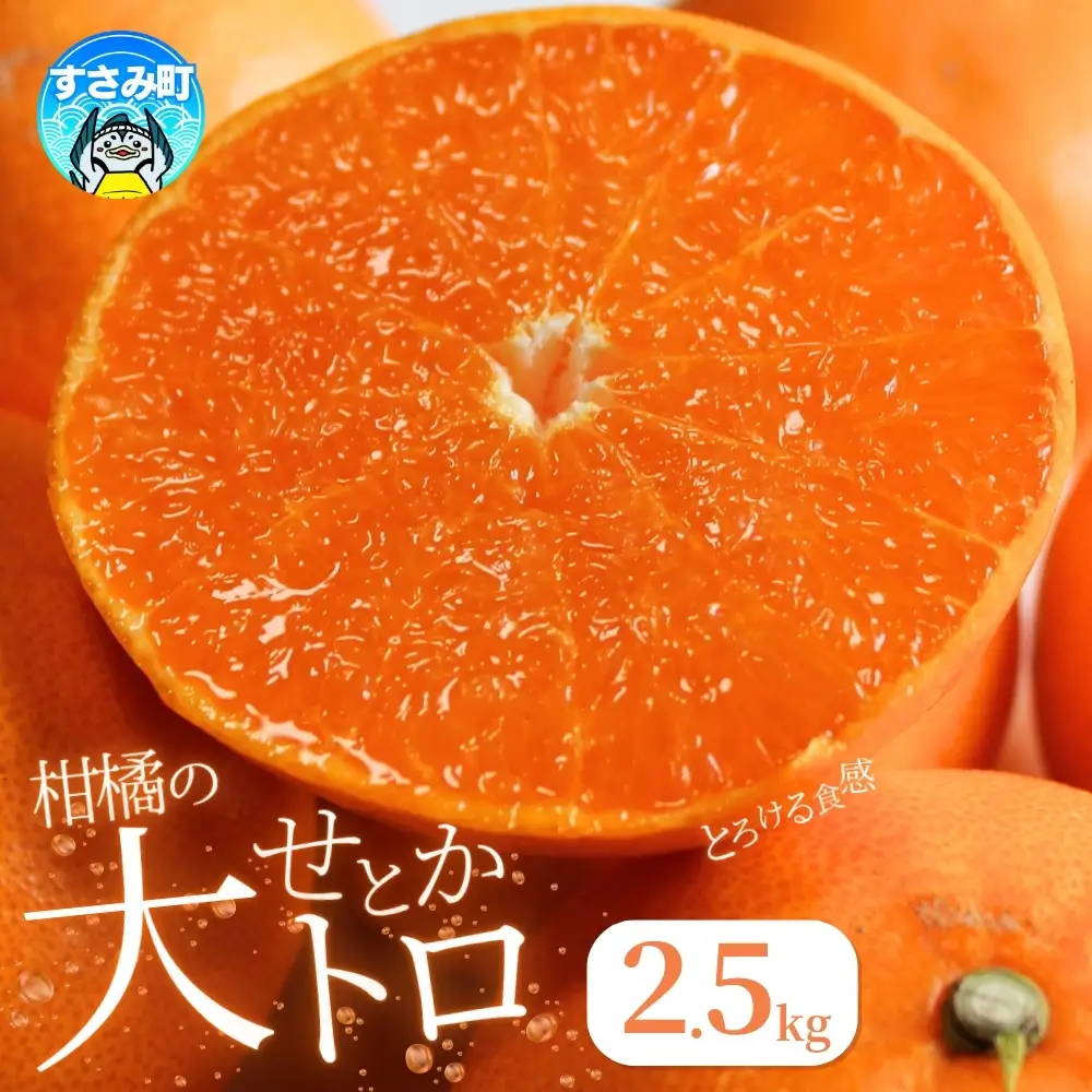 とろける食感！せとか 約2.5kg 【予約】【uot789A】