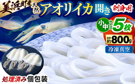 【先行予約】 新鮮で便利！旬の 天然 アオリイカ 刺身用 開き 5枚 約800g 【2026年10月下旬以降順次発送予定】  あおりいか アオリイカ 刺身  [m21-b014]