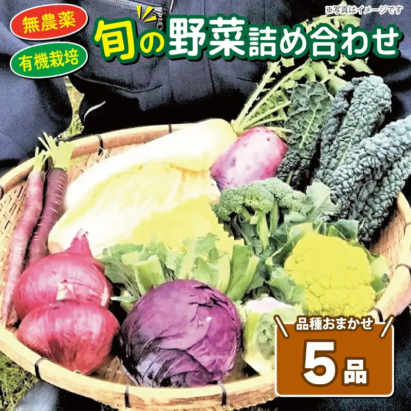 旬の野菜 詰め合わせセット 5品種 ( お楽しみ 産地直送 農家直送 季節 旬 おまかせ 春 夏 秋 冬 やさい サラダ 新鮮 玉ねぎ 人参 じゃがいも ピーマン 大根 なす キャベツ 等 豊浦町 川棚 下関 山口 ) FW003