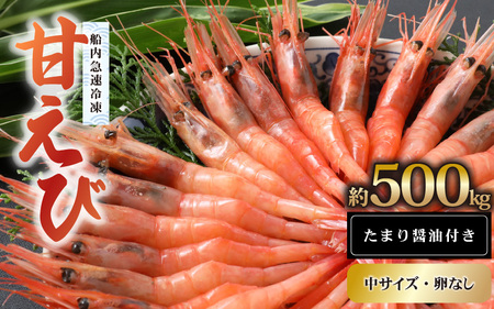 新鮮美味！甘エビ(船凍甘エビ 中サイズ)約500g おいしいたまり醤油付 甘えび [m21-a038]