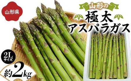 《先行予約 2026年度発送》山形の極太アスパラガス 約2kg（2Lサイズ） FSY-1265