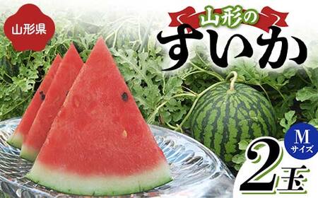 《先行予約 2026年度発送》山形県産すいか 2玉（Mサイズ） スイカ すいか 西瓜 デザート フルーツ 果物 くだもの 果実 食品 山形県 FSY-1267