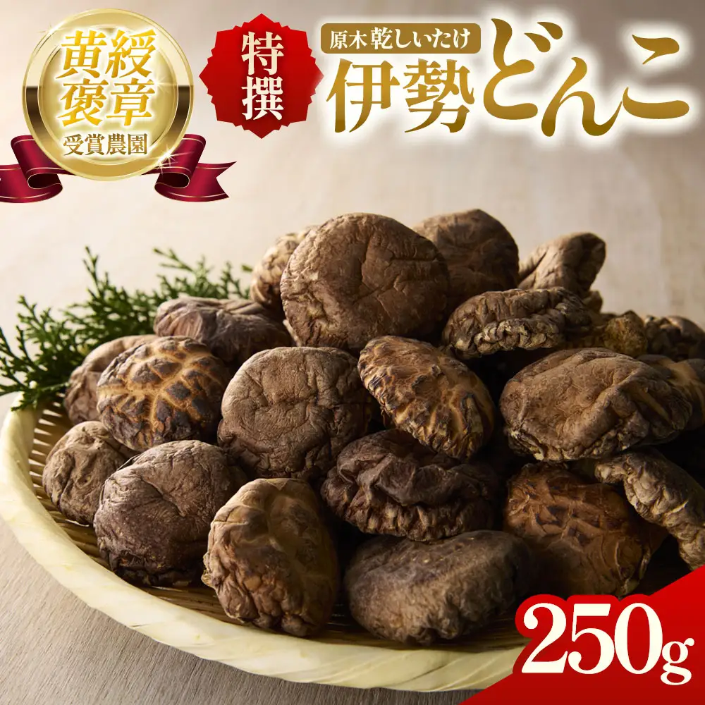 乾燥しいたけ 特撰・伊勢どんこ 椎茸 野菜 250g 