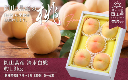岡山県産「清水白桃」約1.3kg（5～6玉）【26年7月上旬以降に順次発送】