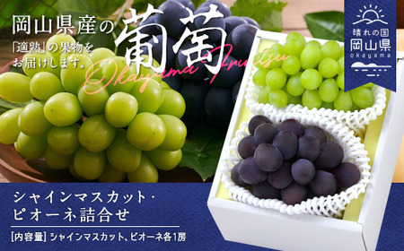 岡山県産「シャインマスカット・ニューピオーネ」詰合せ 約1.0kg【26年8月下旬以降の出荷分】