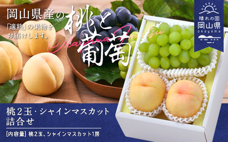 岡山県産「白桃・シャインマスカット」詰合せ 約1.0kg【26年8月下旬以降の出荷分】