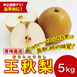 王秋梨 5キロ【安田農園】
