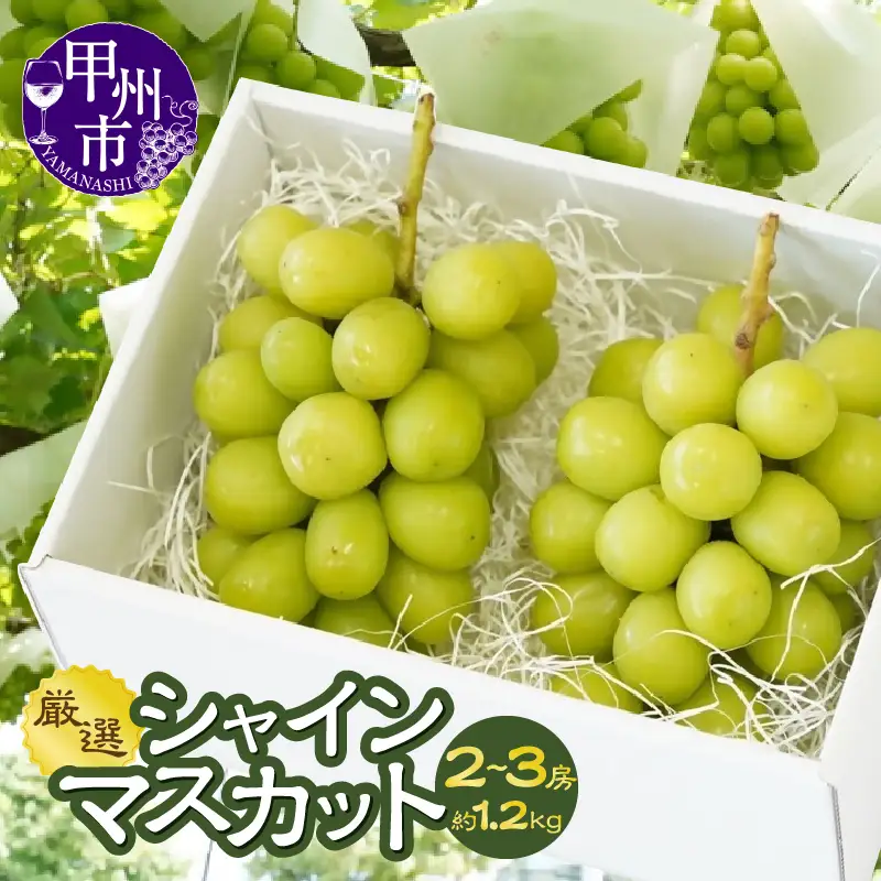 山梨県甲州市産 シャインマスカット 約1.2kg（2～3房）／Inakakara【2026年発送】（ACP）B15-890 シャインマスカット フルーツ