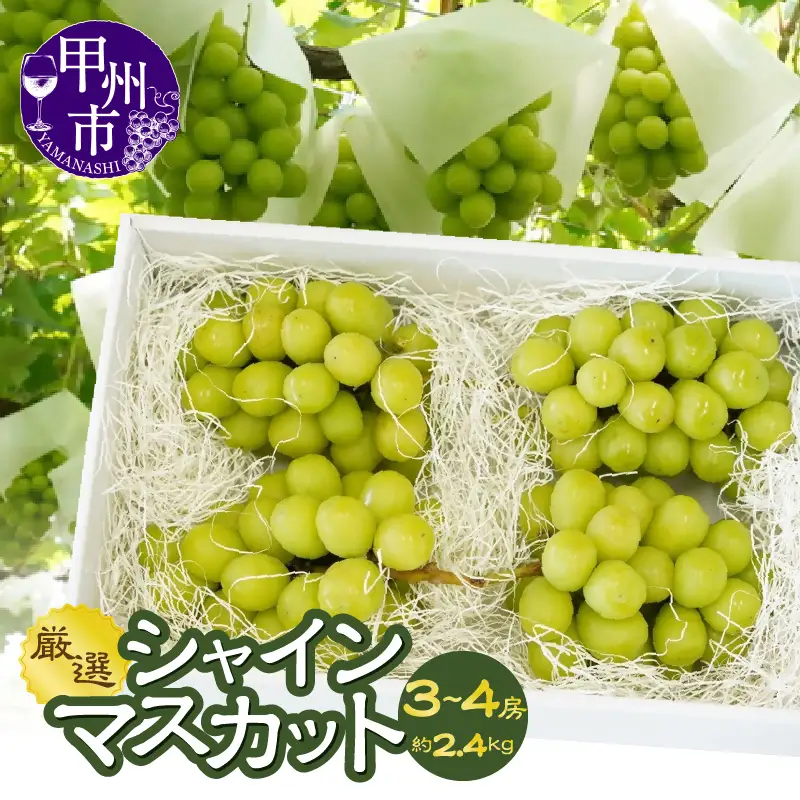 山梨県甲州市産 シャインマスカット 約2.4kg（3～4房）／Inakakara【2026年発送】（ACP）C9-890 シャインマスカット フルーツ