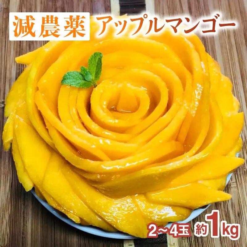 アップルマンゴー  約1kg 2～4玉