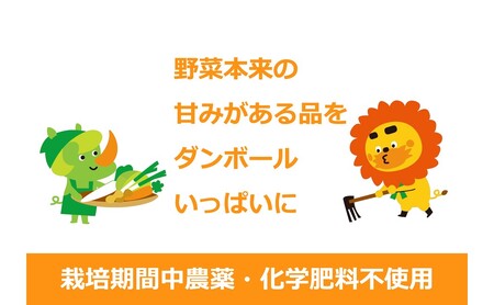 1名様向け／野菜5種セット 野菜セット 野菜詰合せ 産地直送 旬の野菜 農園直送 食べ物 食品 グルメ 食卓 ベジタブル 国産 日本産 国産野菜 