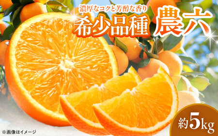 みかん 農六 約5kg フルーツ 果物 みかん BJBF001
