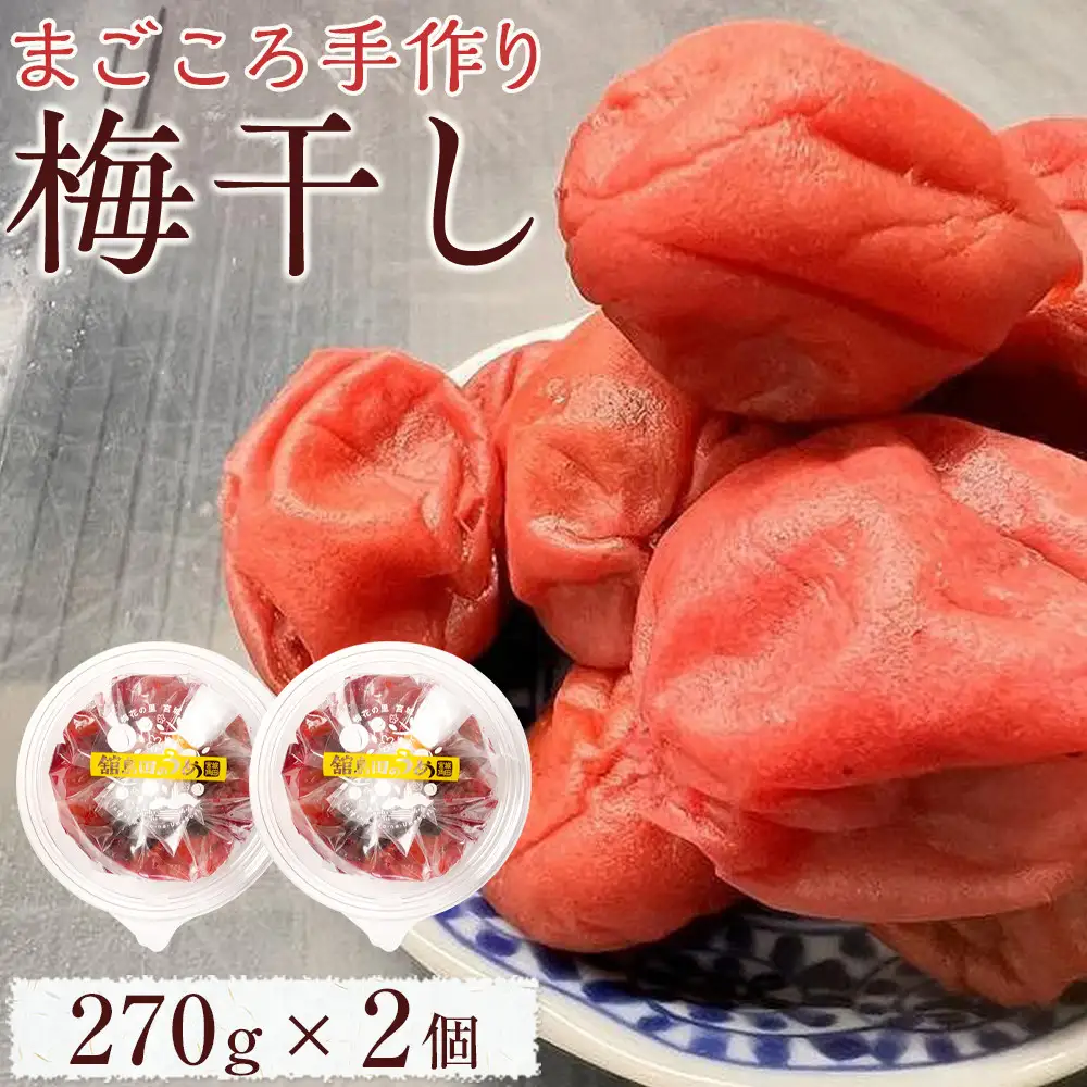 宮城県角田産【無添加】 まごころ 手作り 梅干し (270g)×2個｜梅干し すっぱい 