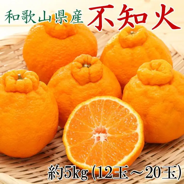 和歌山県産不知火約5kg（12玉～20玉おまかせ）2L～5Lサイズ★2027年2月下旬頃より順次発送［TM131］