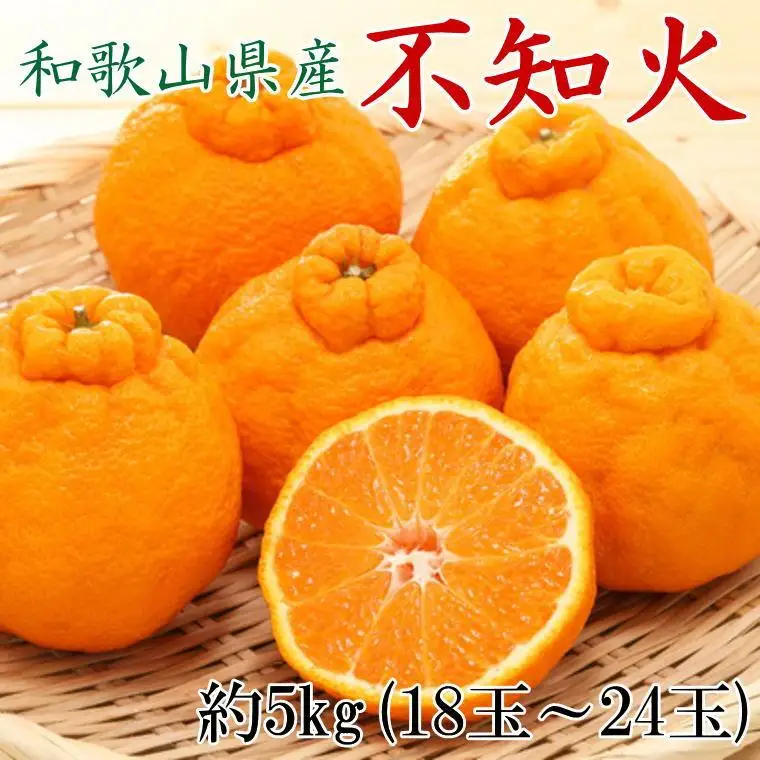 和歌山県産不知火約5kg（18玉～24玉おまかせ）L～3Lサイズ★2027年2月下旬頃より順次発送［TM159］