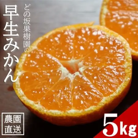 甘い!どの坂果樹園の早生みかん　約5kg【サイズおまかせ・畑のまんま規格】【配送不可地域：離島・北海道・沖縄県】【1492087】