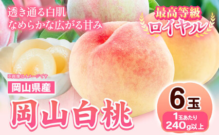 岡山白桃 6玉【配送不可地域あり】