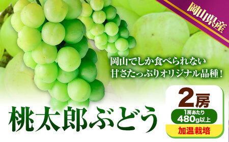 岡山県産 桃太郎ぶどう 2房【配送不可地域あり】 