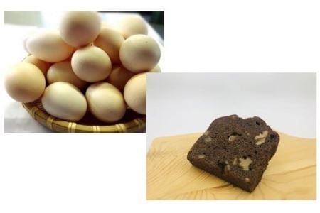 ひまわりたまご紅白10個・パウンドケーキ（ショコラ）1本セット　卵 鶏卵 たまご ショコラ スイーツ デザート お菓子 洋菓子 山梨 富士川町