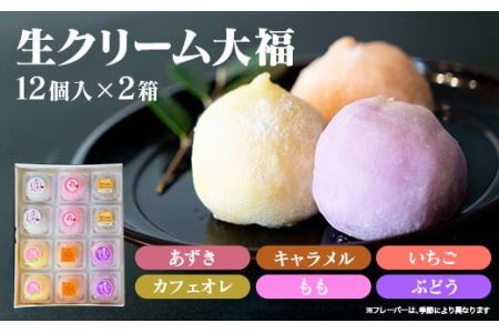 とろける食感！生クリーム大福24個セット （6種類×2×2箱）詰め合わせ  スイーツ お取り寄せ お土産 おもたせ プレゼント【全国菓子博・百貨店協会長賞受賞】