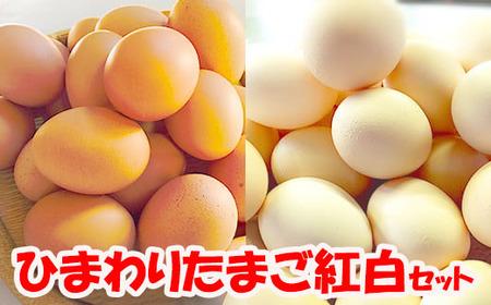 B1809ひまわりたまご紅白セット（２段）※破卵補償10個含 卵 鶏卵 玉子