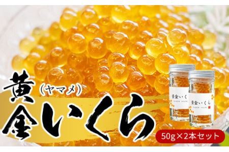 【幻の珍味】「黄金いくら」2本セット（ヤマメの卵醤油漬け） いくら イクラ 魚卵 小分け　数量限定 旬 人気 贈答 美味しい ヤマメ 鱒 冷凍 お取り寄せ