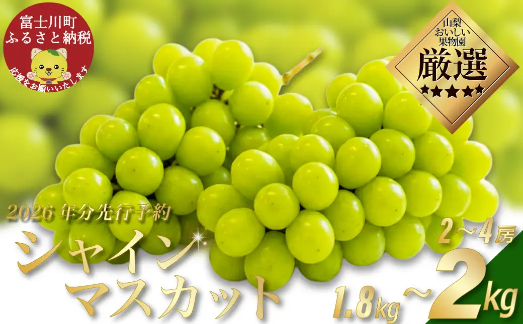 【贈答用】【2026年発送分 先行予約】 山梨おいしい果物園のシャインマスカット 1.8kg-2.0kg (2~4房)　産地直送 フルーツ シャイン マスカット ブドウ ぶどう 山梨 やまなし 富士川町