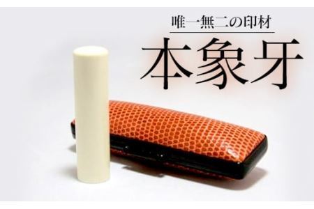 高級本象牙印鑑　13.5㎜×60.0㎜　はんこ ハンコ 実印 銀行印 認印 ケース付 オーダー 判子 ギフト プレゼント 贈答