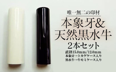 E413高級本象牙印鑑＆高級黒水牛２本セット（女性向け）