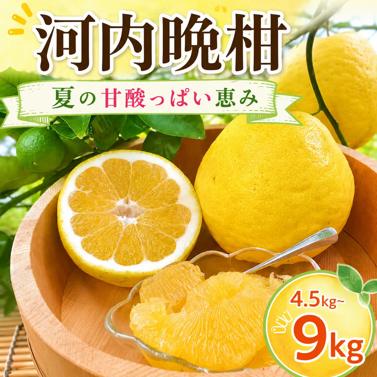 龍馬がゆく園芸の河内晩柑4.5kg（訳あり）
