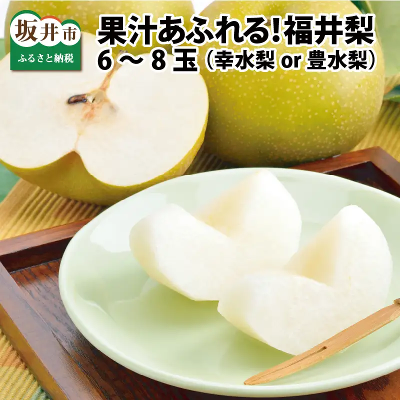 【先行予約】「福井梨」6～8玉 シャキっとした食感♪ あふれ出す果汁！【豊水梨】【2026年9月上旬～9月下旬発送予定】【梨 なし 和梨 先行予約 ナシ フルーツ 甘い みずみずしい 果実 果物 新鮮 お土産 贈り物 旬の果物】 [A-1007_09]