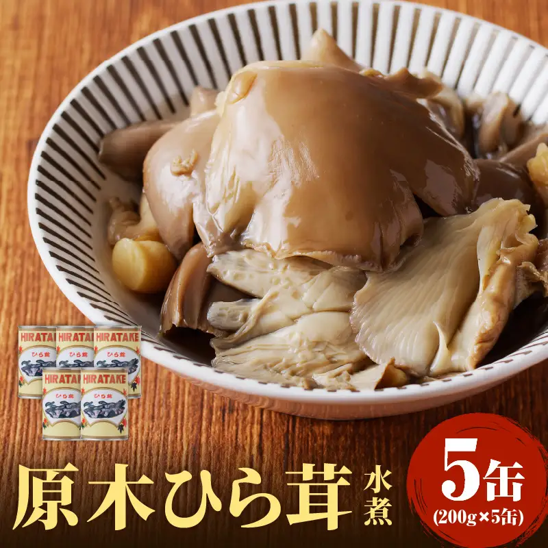 大江町柳川産 原木ひら茸水煮200g×5缶(固形量） 014-004