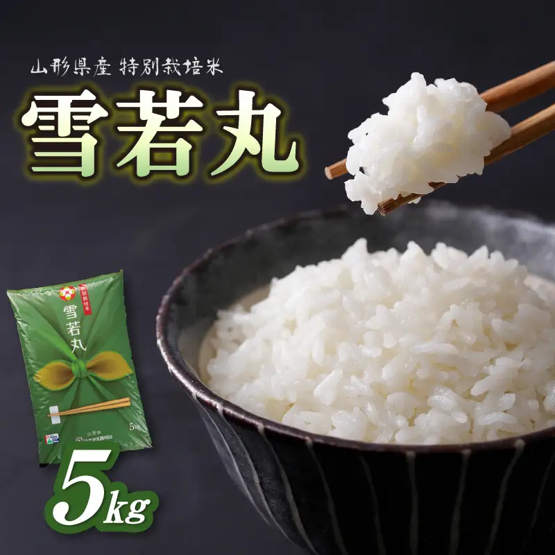 特別栽培米 雪若丸 5kg【山形県産 特別栽培米】【2025年度産米】 001-067