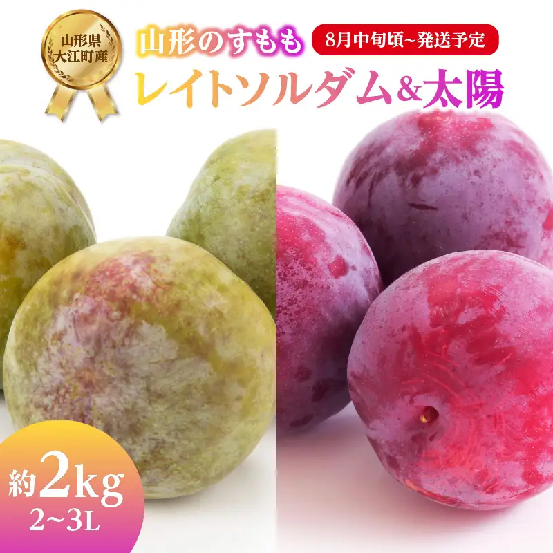 《先行受付》すもも「レイトソルダム」「太陽」約2kg 2～3L【2026年8月中旬頃～発送予定】【山形プラム・大江町産】 001-078