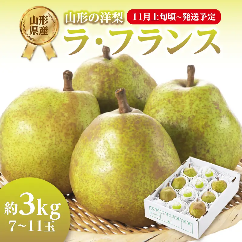 《先行受付》ラフランス 約3kg （7～11玉） 【2026年11月上旬頃～発送予定】【山形洋梨】 001-081