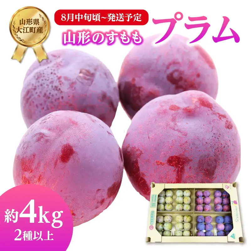 《先行受付》すもも（プラム）約4kg 2種以上【2026年8月中旬頃～発送予定】【山形プラム・大江町産】 001-076
